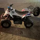 دباب سويدي