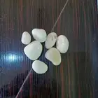 بحص بكل الاحجام والألوان