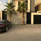 نخل واشنطني وشنطن واشنطوانيا زينه للبيع