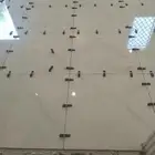مبلط باكستاني تبوك