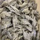 عود كمبودي تايقر.جمله