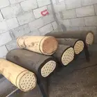 خلايا نحل