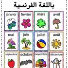 معلمه لغه فرنسيه