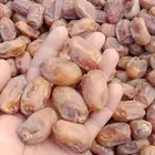 يوجد حوالي 20 طن خلاص طيب ونظيف ولون طيب