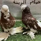 حمام لونج فيس