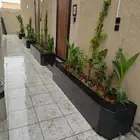 تنسيق حدائق
