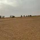 للبيع ارض زراعيه شرق شقراء
