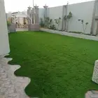 عشب جدارى وعشب ارضى بسعر الجملة