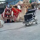طلعات داخل وخارج الرياض