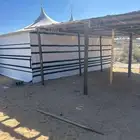 خيام الصقور