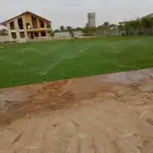 ثيل طبيعيc2000