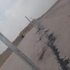 مقول نخل وشبوك مزارعه مستودعات