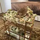 عربية ملكة