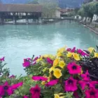 سائق مع سياره في كافة أنحاء أوروبا