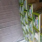 جبنه عرب مقليه