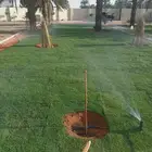 نجيله طبيعيه تركيب تيل طبيعي