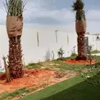 نخل اخلاص وبرحي سلاطين