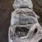 مكائن سوناتا
