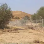 نقوم بتوريد وتركيب جميع انواع الشبوك مجلفن وعايدي