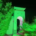 سيتي كلر