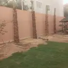 السلام عليكم يوجد لدينا نخيل واشنطني زينه امريكي