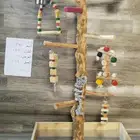 استاند ببغاء خشب طبيعي لجميع انواع الطيور الكبيره والصغيره