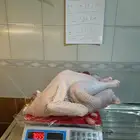 ديك رومي ذبح طازج عند الطلب
