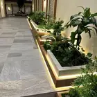 اشجار وورود طبيعيه للبيع