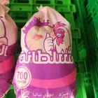 دجاج للبيع