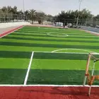 تنسيق حدائق تيل طبيعي