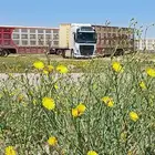 لوبد بكره سحب
