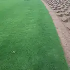 ثيل نجيله طبيعي 100  نقي جدا c2000 فرنسي ياباني