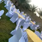 تأجير كنب القهوجين وصبابين رجال ونساء كراسي وطاولات زل