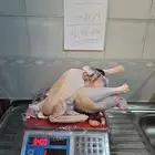 ديك رومي ذبح طازج