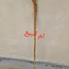 عصا من شجر اللوز تم البيع