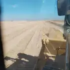 موجود سواق بلدوزر في جميع انحاء المملكه العربيه السعوديه