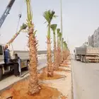 السلام عليكم ورحمة الله وبركاته