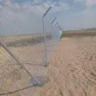 مقول شبوك ونخيل