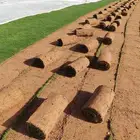 ثيل طبيعي سي 2000 فرنسي وشبكه الري