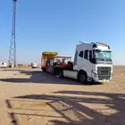 لوبد متواجد في القصيم