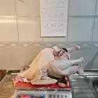ديك رومي ذبح طازج