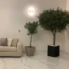 زيتون صناعي اشجار زيتون