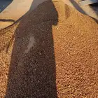 رمل احمر رمل مغسول