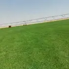 ثيل C200 درجه اولى