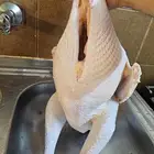 ديك رومي مي ذبح طازج