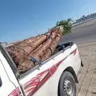 واشنطن للبيع