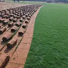 ثيل سي 2000 صافي وطبيعي جراده قولي مزرعه الخرج