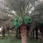جميع أشغال أنخل تحويض تكريب واشنطن