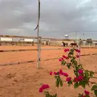 ايواء خيل وعسف
