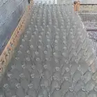 قوارير فيمتو حق السمن نضيفه